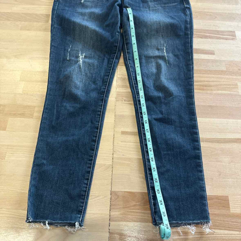 Democracy Size 4 High Rise Slim Straight Blue Jeans