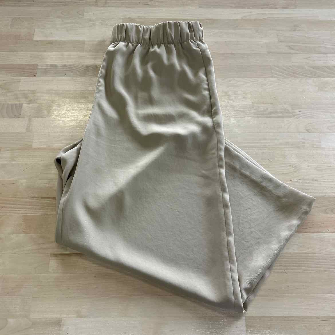 H&M Size L Tan Pants