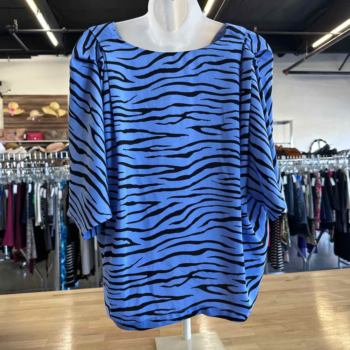 Elodie Size M Blue Button Down Shirt