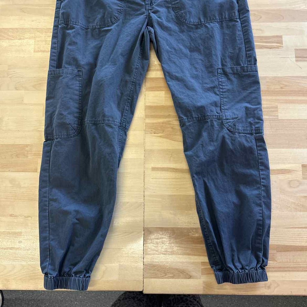 Sundance Size 10 Gray Preloved Pants