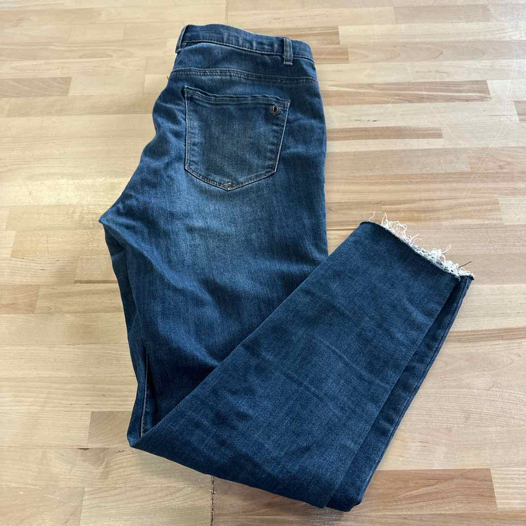 Democracy Size 4 High Rise Slim Straight Blue Jeans