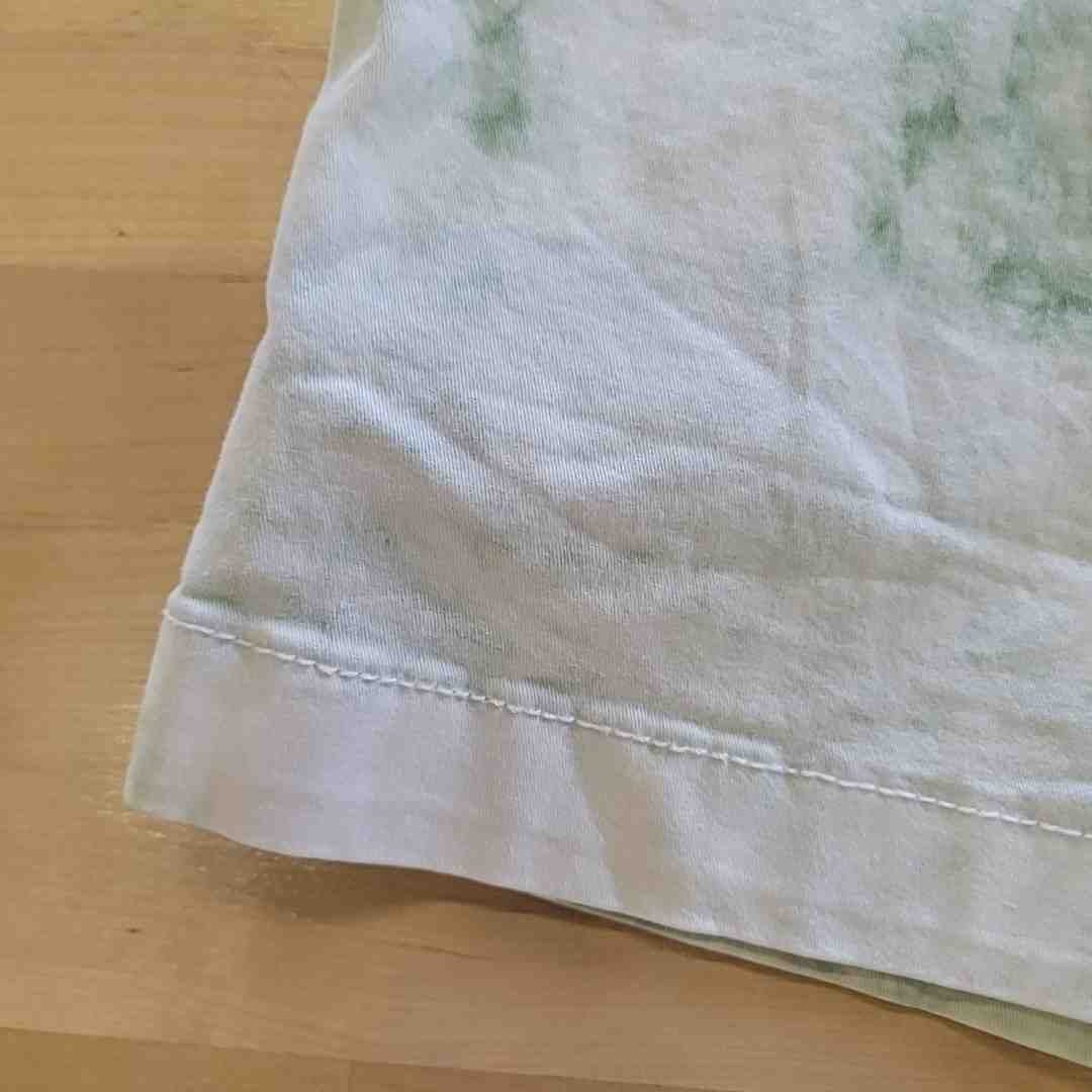 Style & Co. Size 10P Green Shorts
