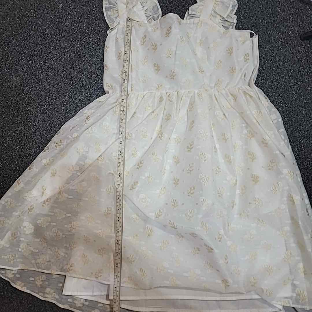English Factory Size S Ivory Floral Embroidery Organza Mini Dress NWT