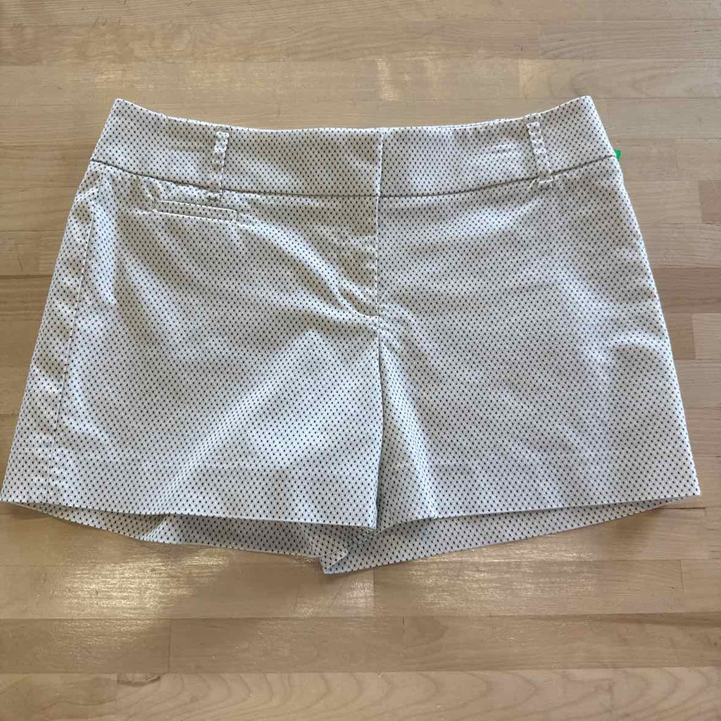 Loft Women Size 2 White Black Preloved Shorts