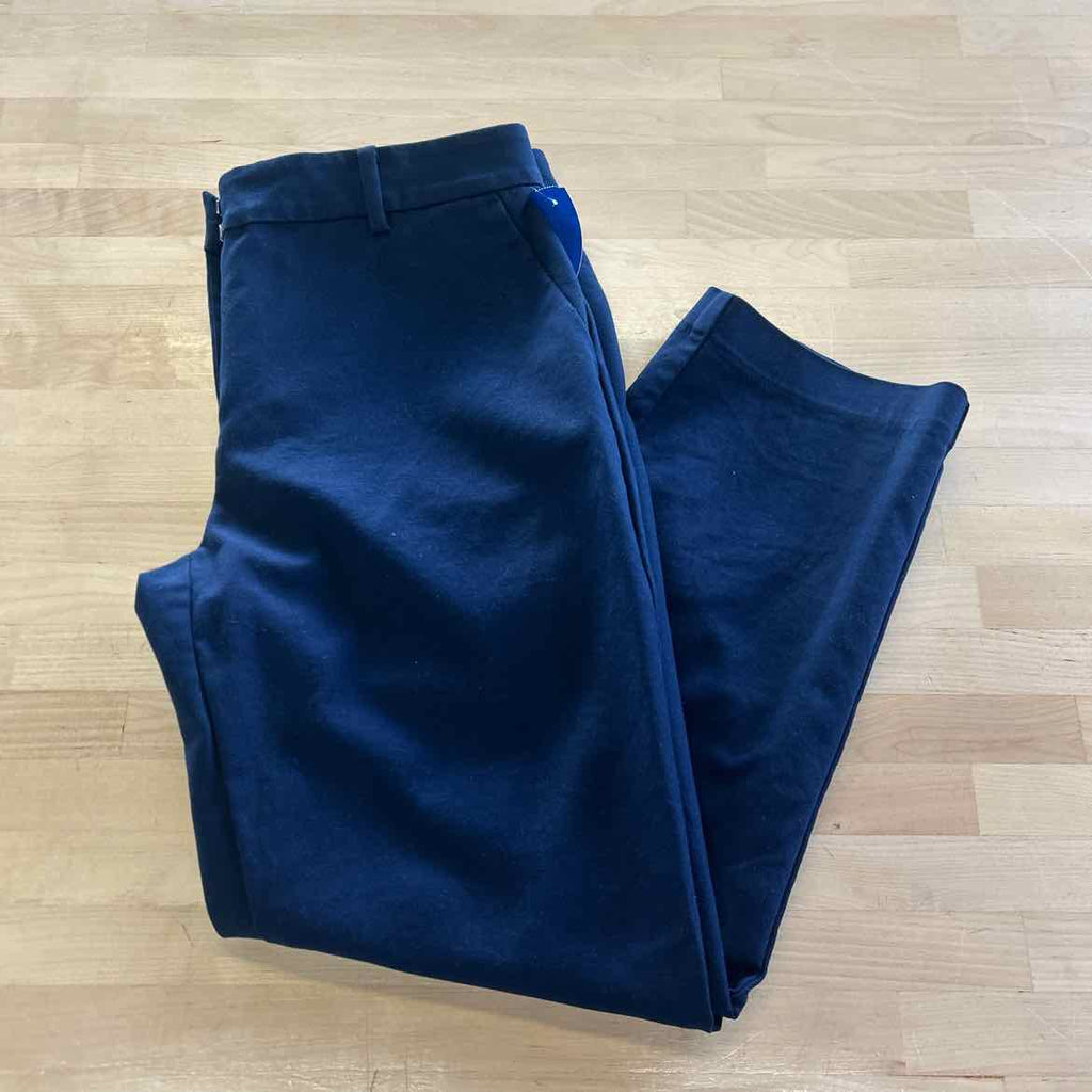 Loft Size 8 Navy Preloved Pants