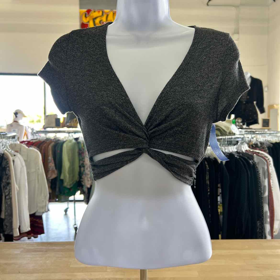 Windsor Size XS Gray Crop Top