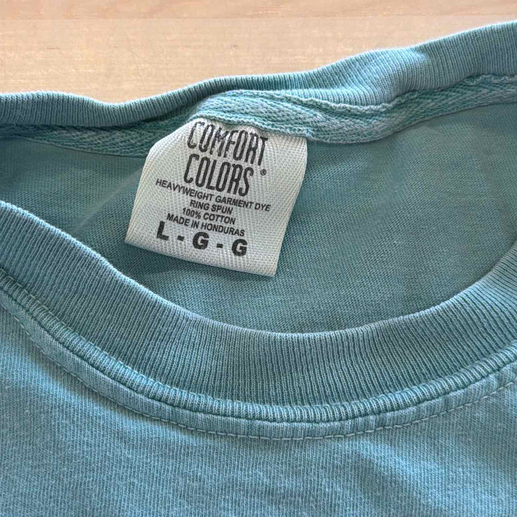 Comfort Colors Size L Blue Preloved MENS T-shirt