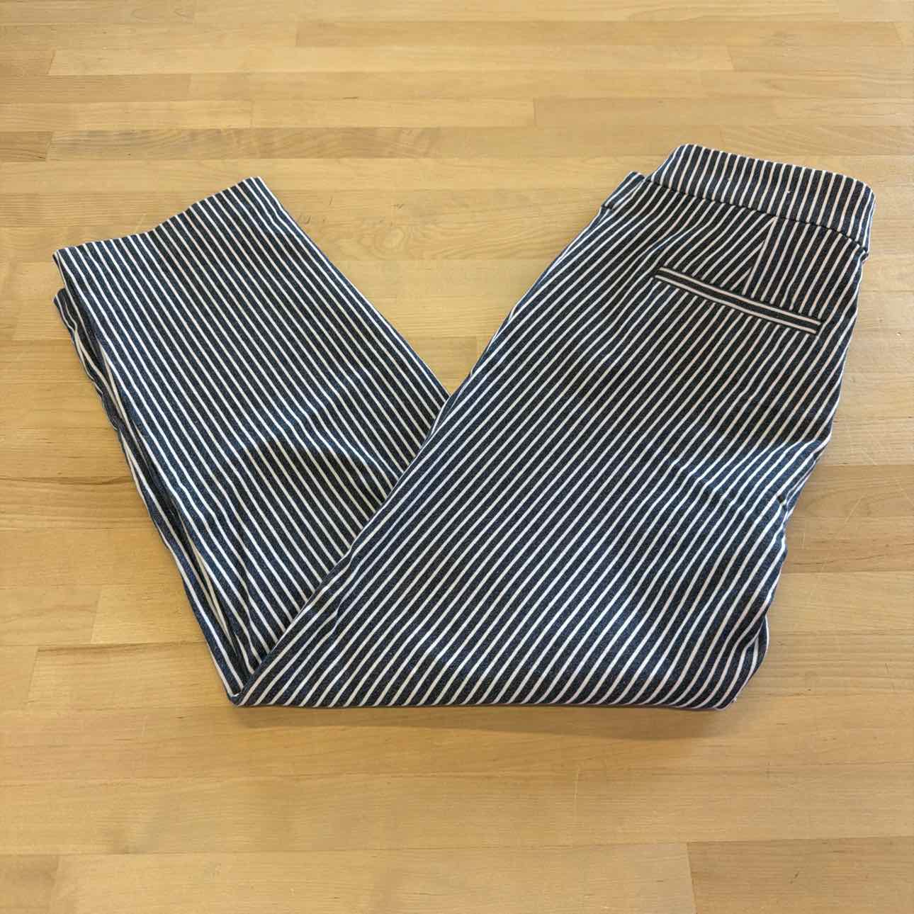 Loft Size 2 Blue/White Preloved Pants