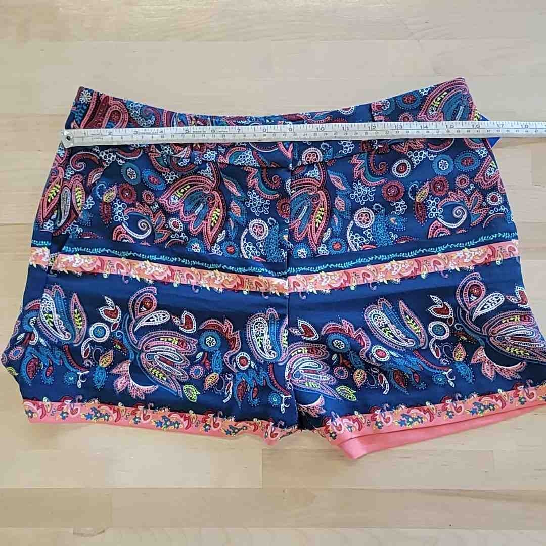 Loft Size 2 Multi-Color Shorts