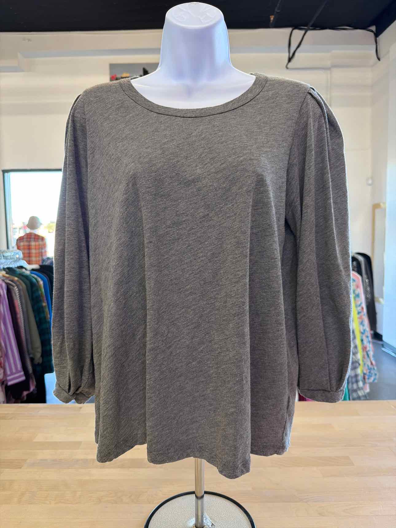 Velvet Size L Gray Blouse