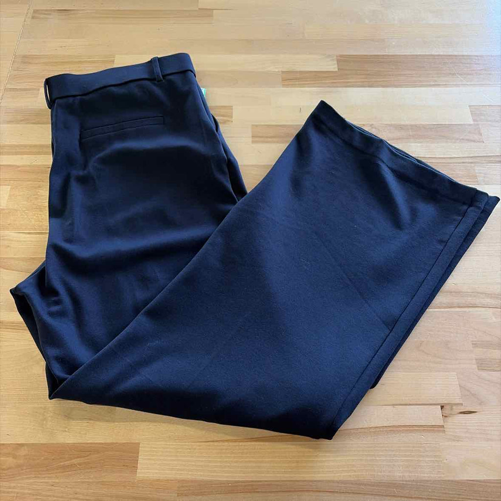 Jules & Leopold Size XL Blue Rayon Preloved Pants