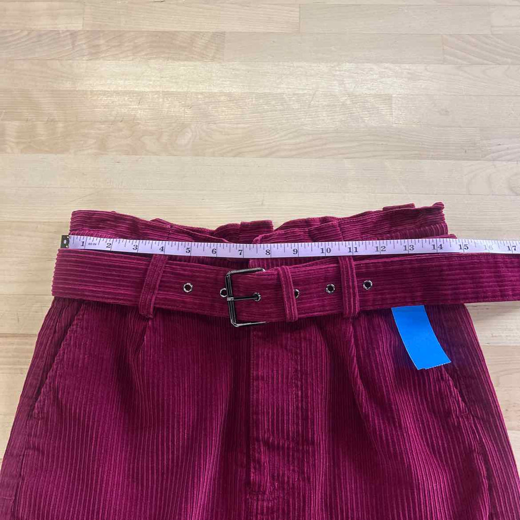 Express Size 4 Purple Corduroy Preloved Skirt
