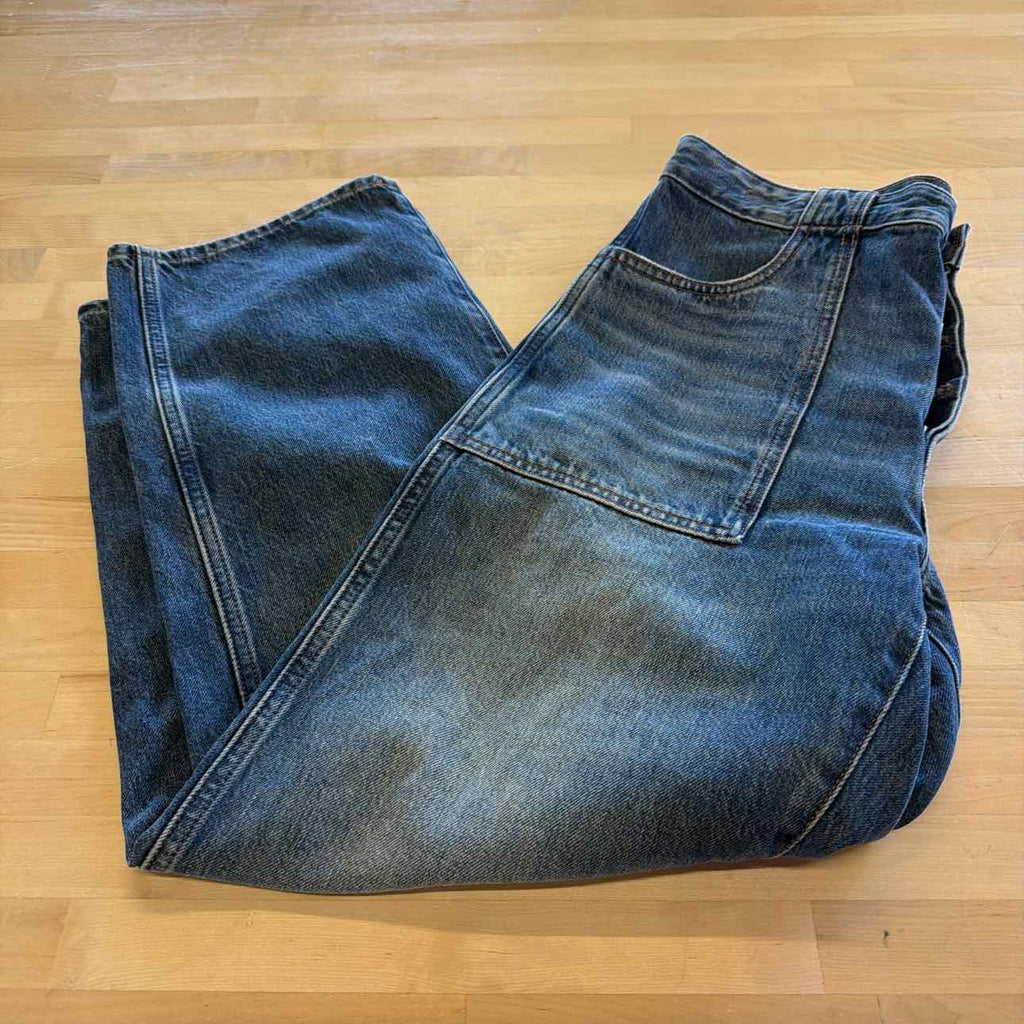 Madewell Size 28 Blue Denim Preloved Jeans