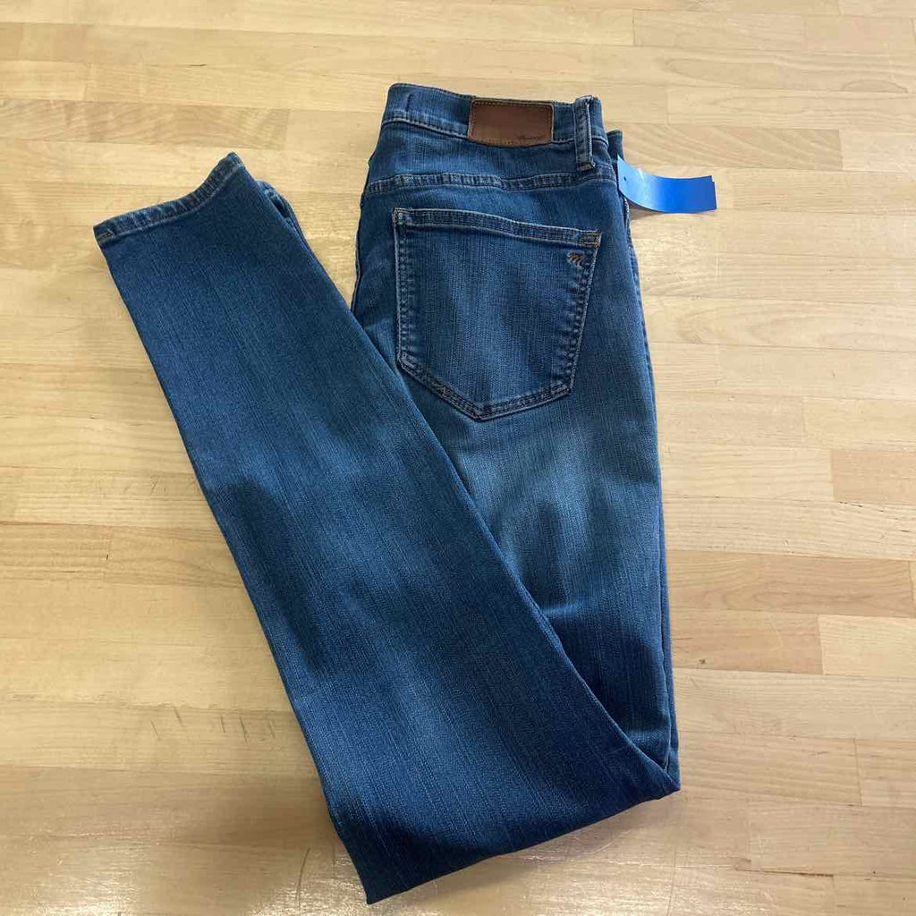 Madewell Size 27 Blue Denim Preloved Jeans