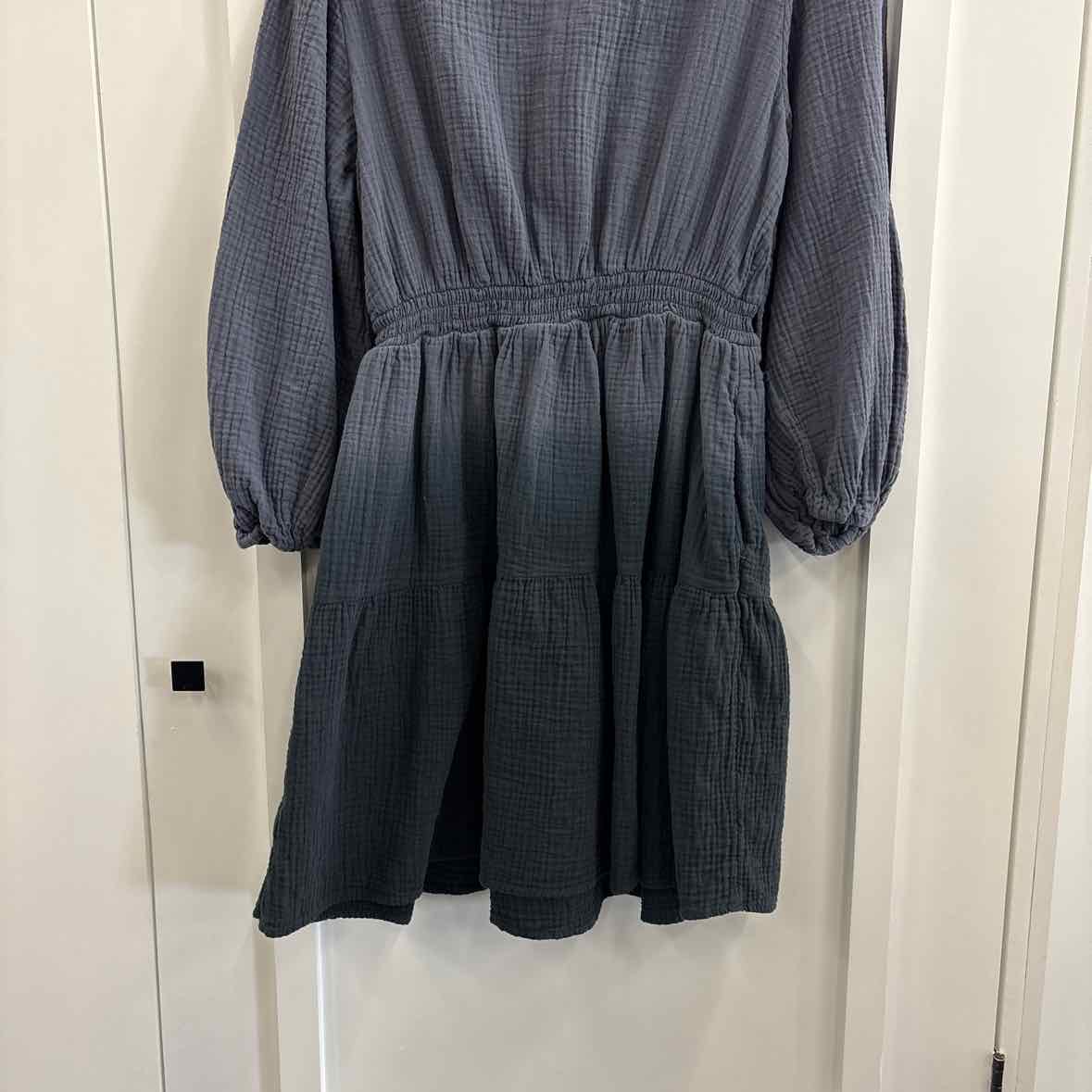 Universal Thread Size L Gray Dress