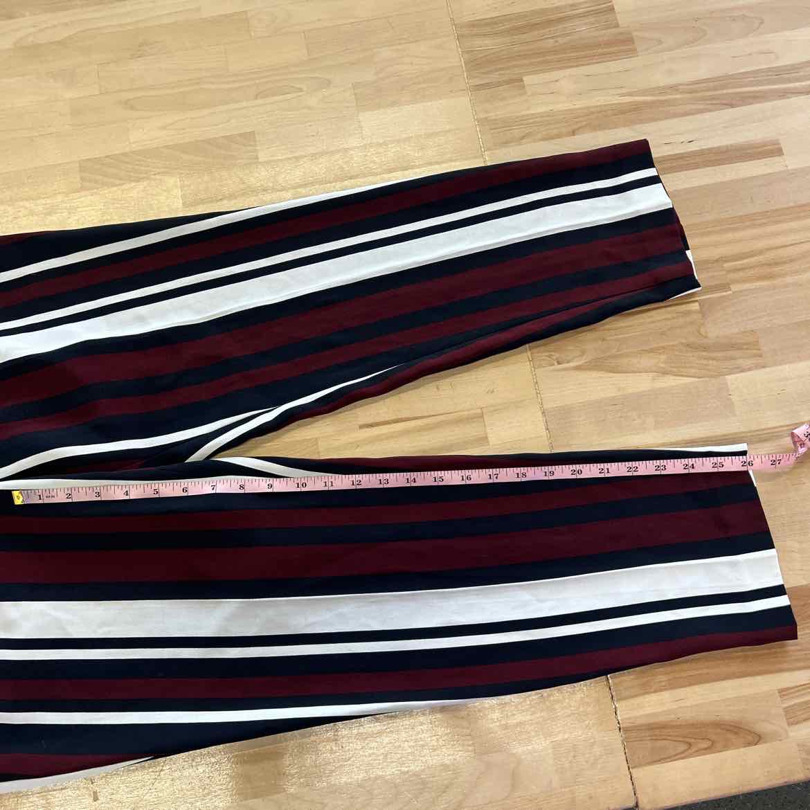 Express Size 10 Red New Pants
