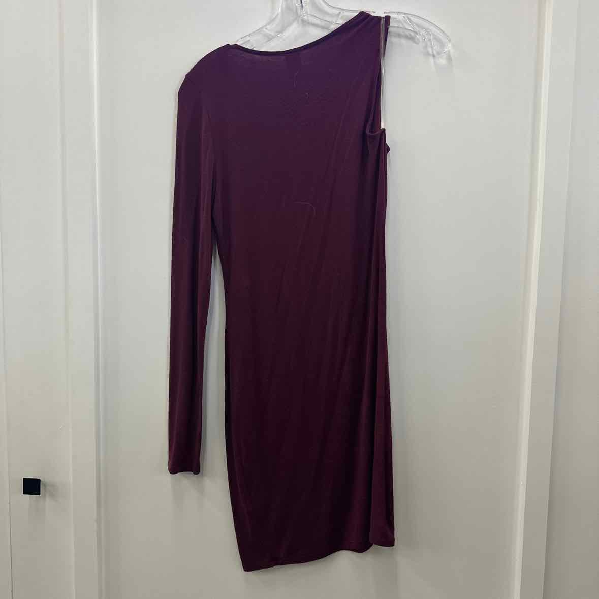 Lulu Size S Purple Dress