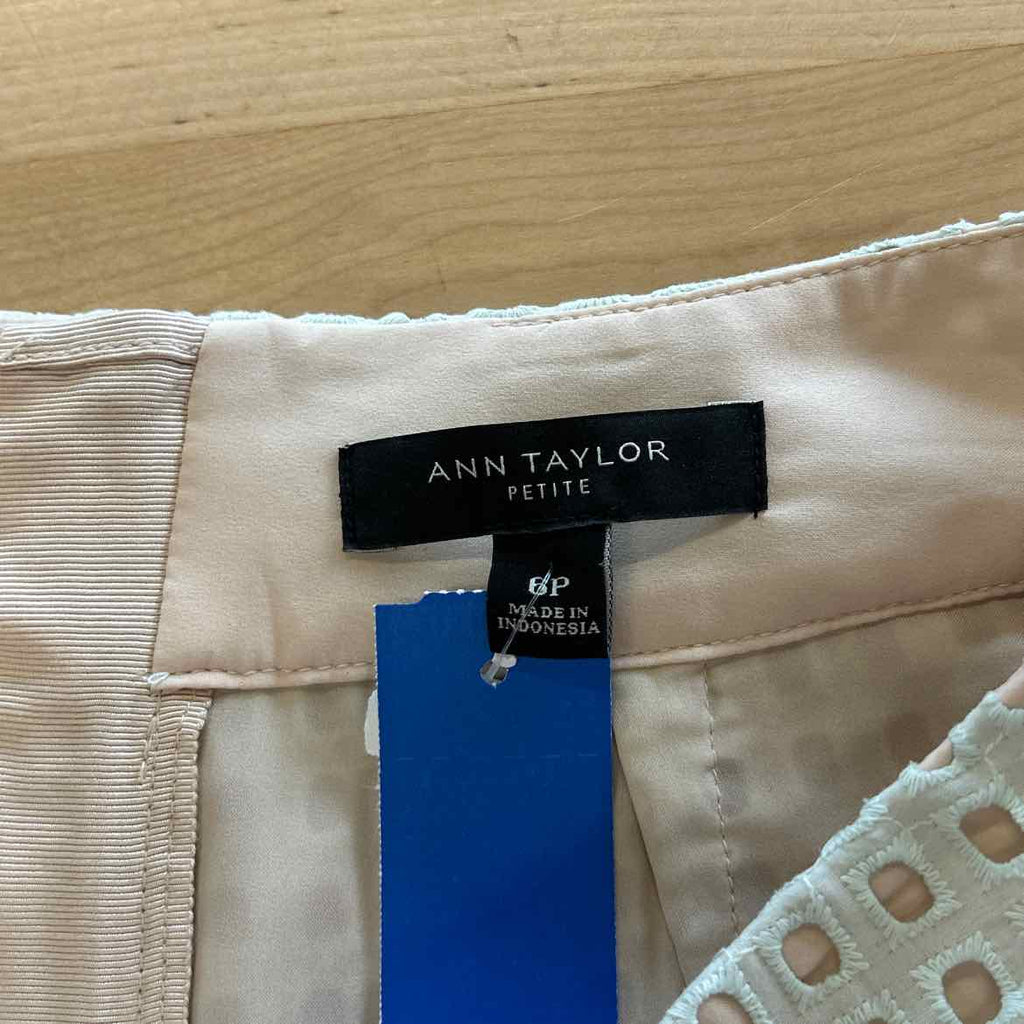 Ann Taylor Size 6P Green Preloved Skirt