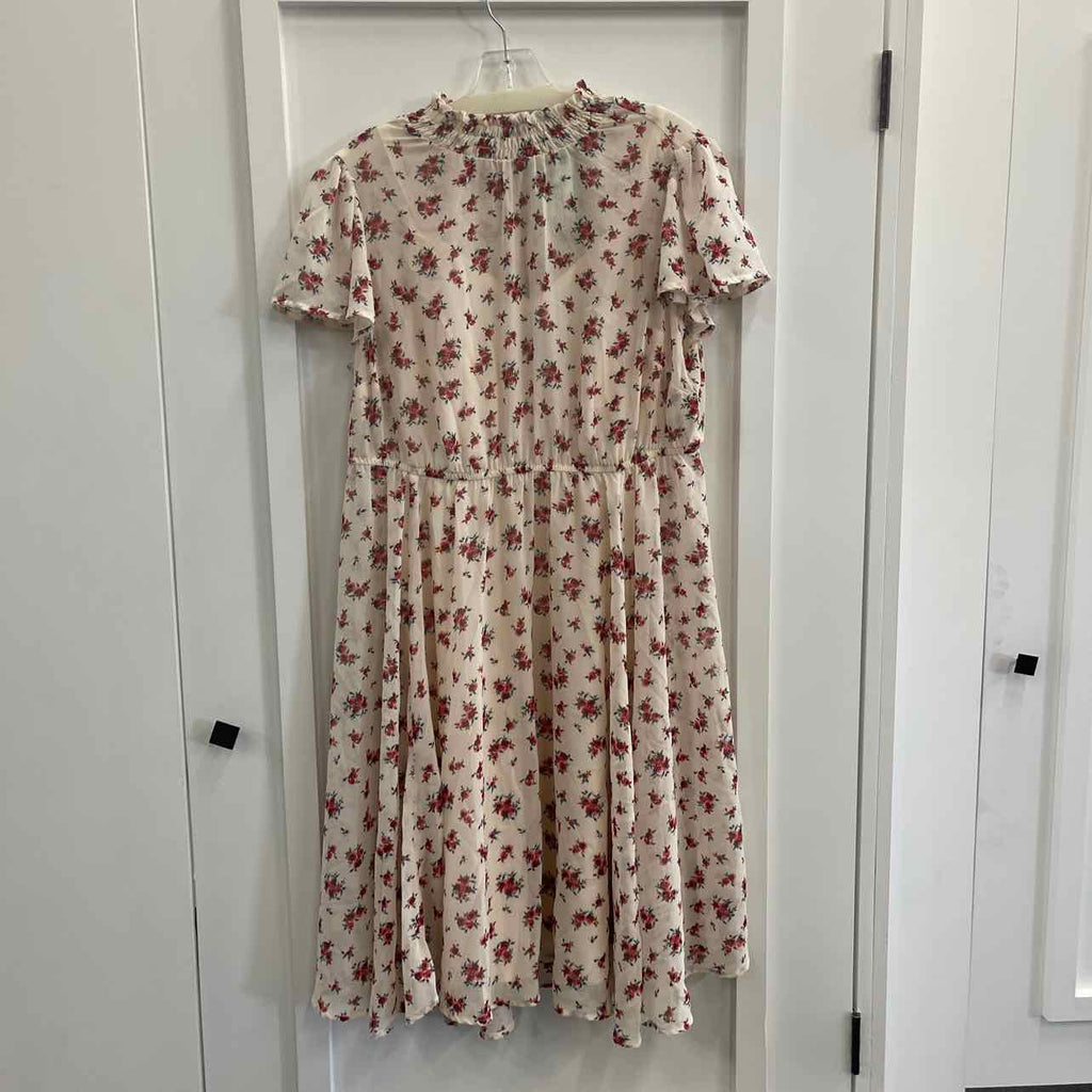 Torrid Size 0 Peach Mesh Preloved Dress