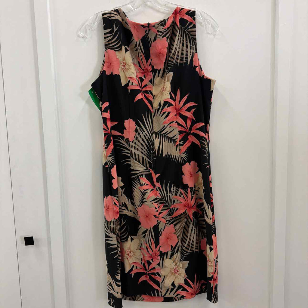 AGB Size 12 Black Preloved Dress