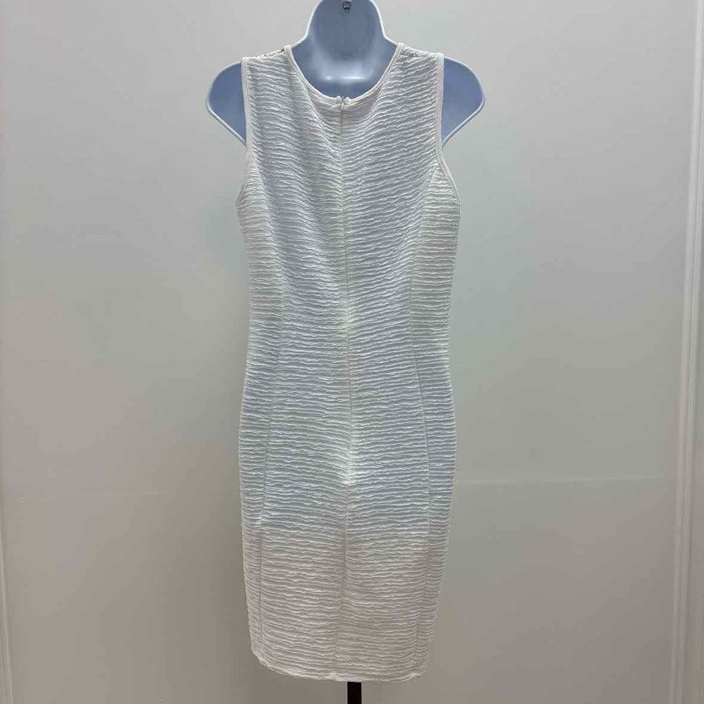 NY Collection Size 14P Novelty Knit and Lace Dresss