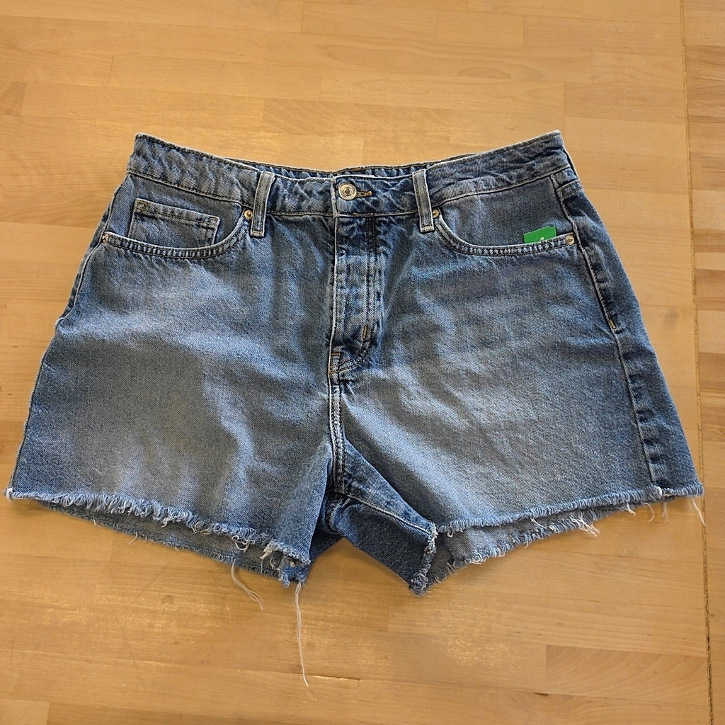 Forever 21 Women Size 31 Blue Preloved Shorts