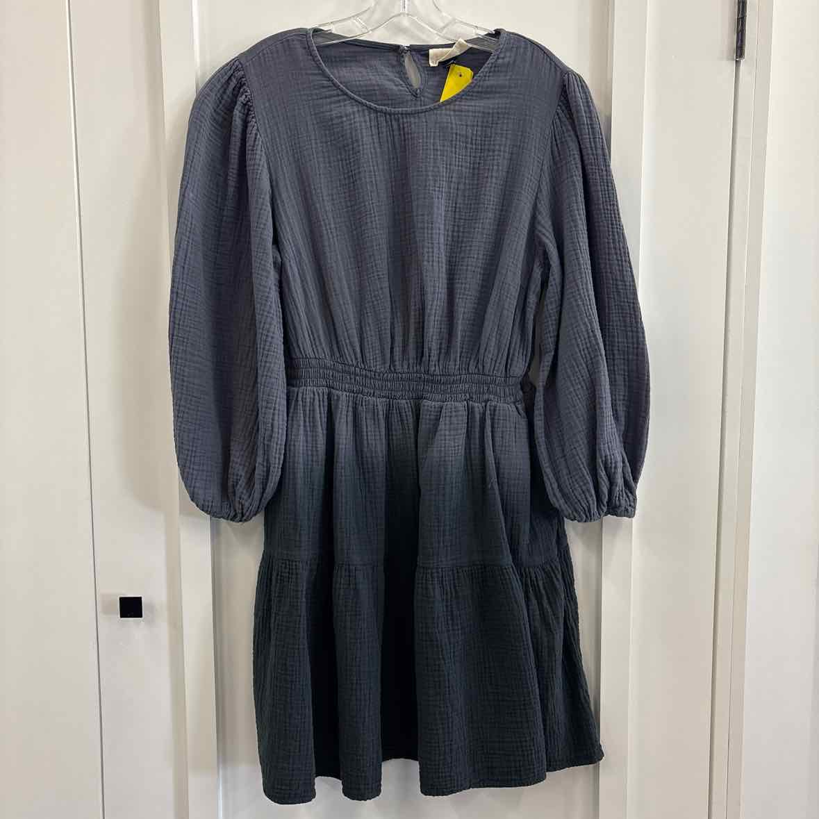 Universal Thread Size L Gray Dress