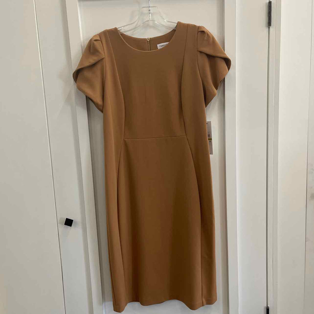 Calvin Klein Size 14 Brown New Dress