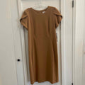 Calvin Klein Size 14 Brown New Dress