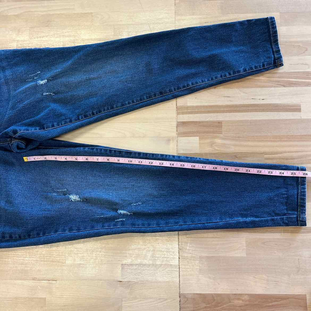 Style & Co. Size 10 Denim Preloved Jeans