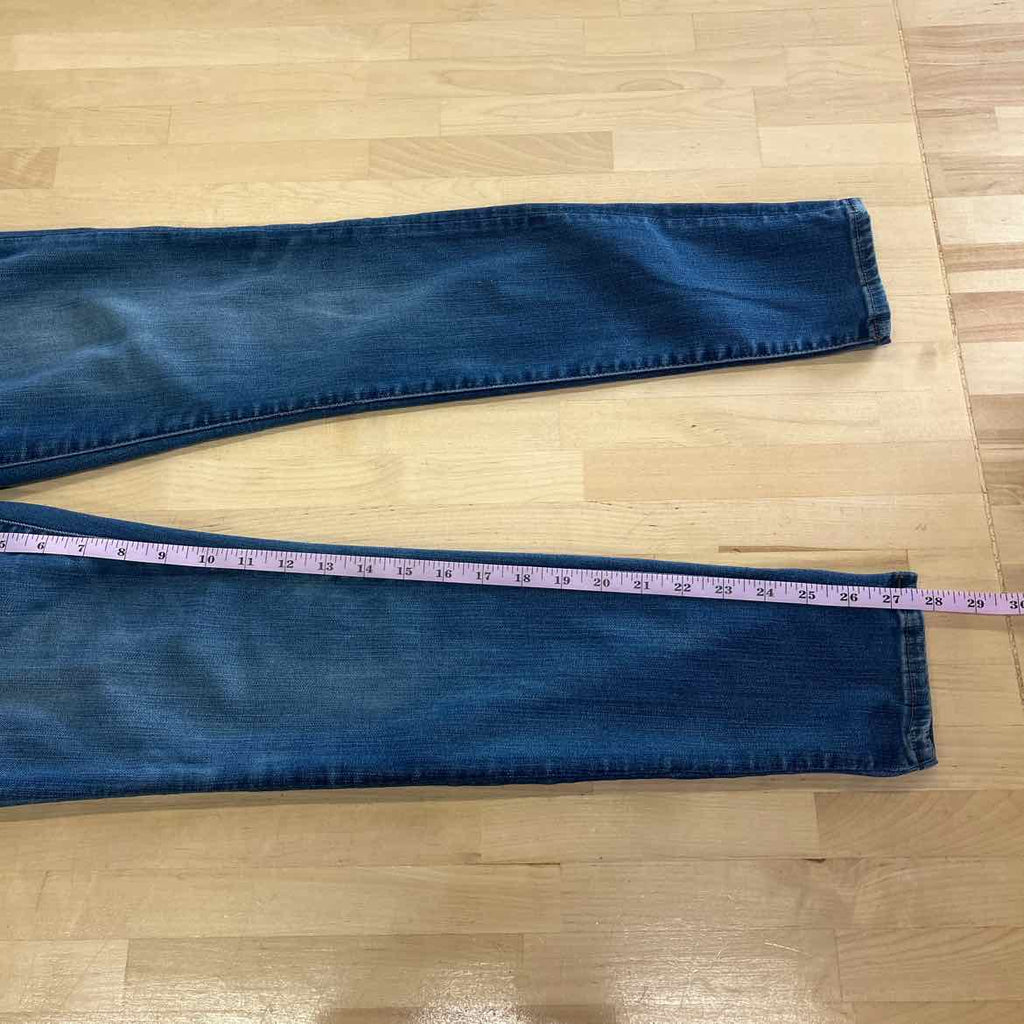 Madewell Size 27 Blue Denim Preloved Jeans