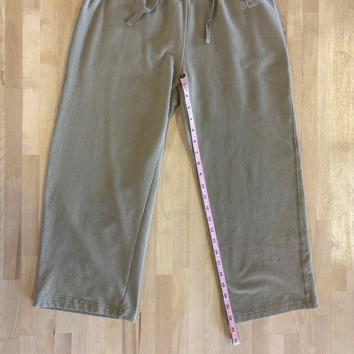BCBG Size L Tan Pants