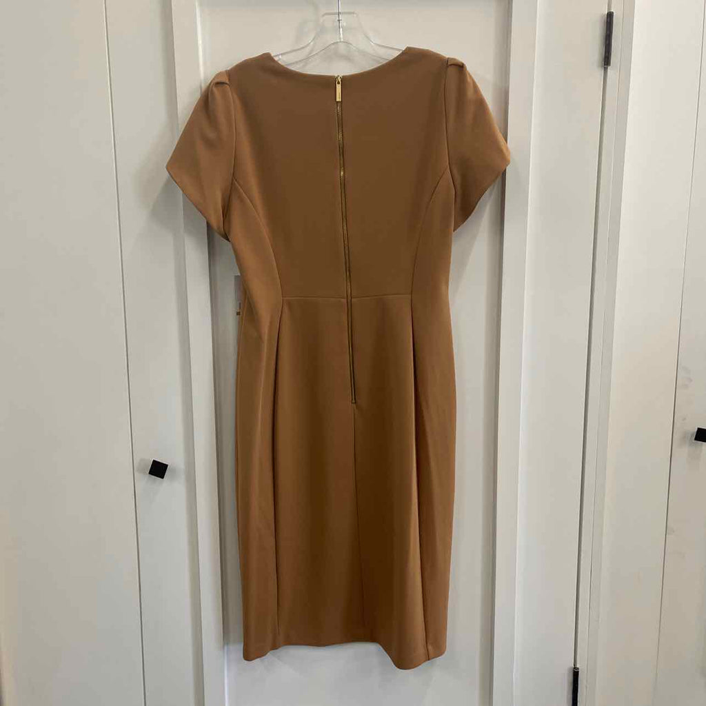 Calvin Klein Size 14 Brown New Dress