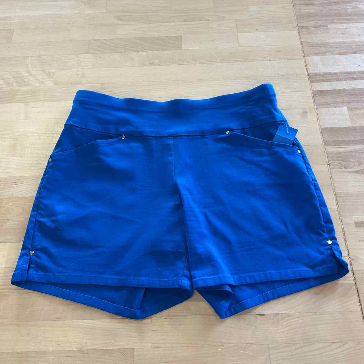 INC Women Size 0 Blue Preloved Shorts