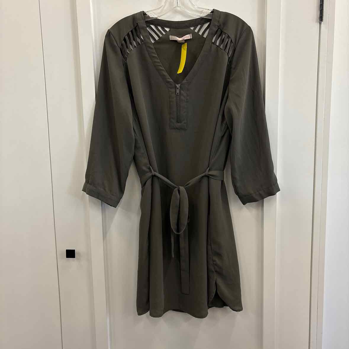 Forever 21 Size L Green Dress