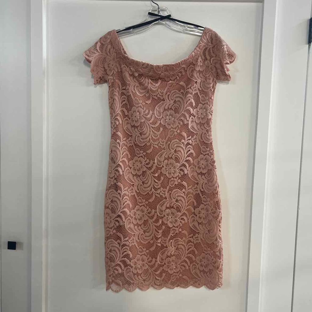 Forever 21 Size L Pink Preloved Dress