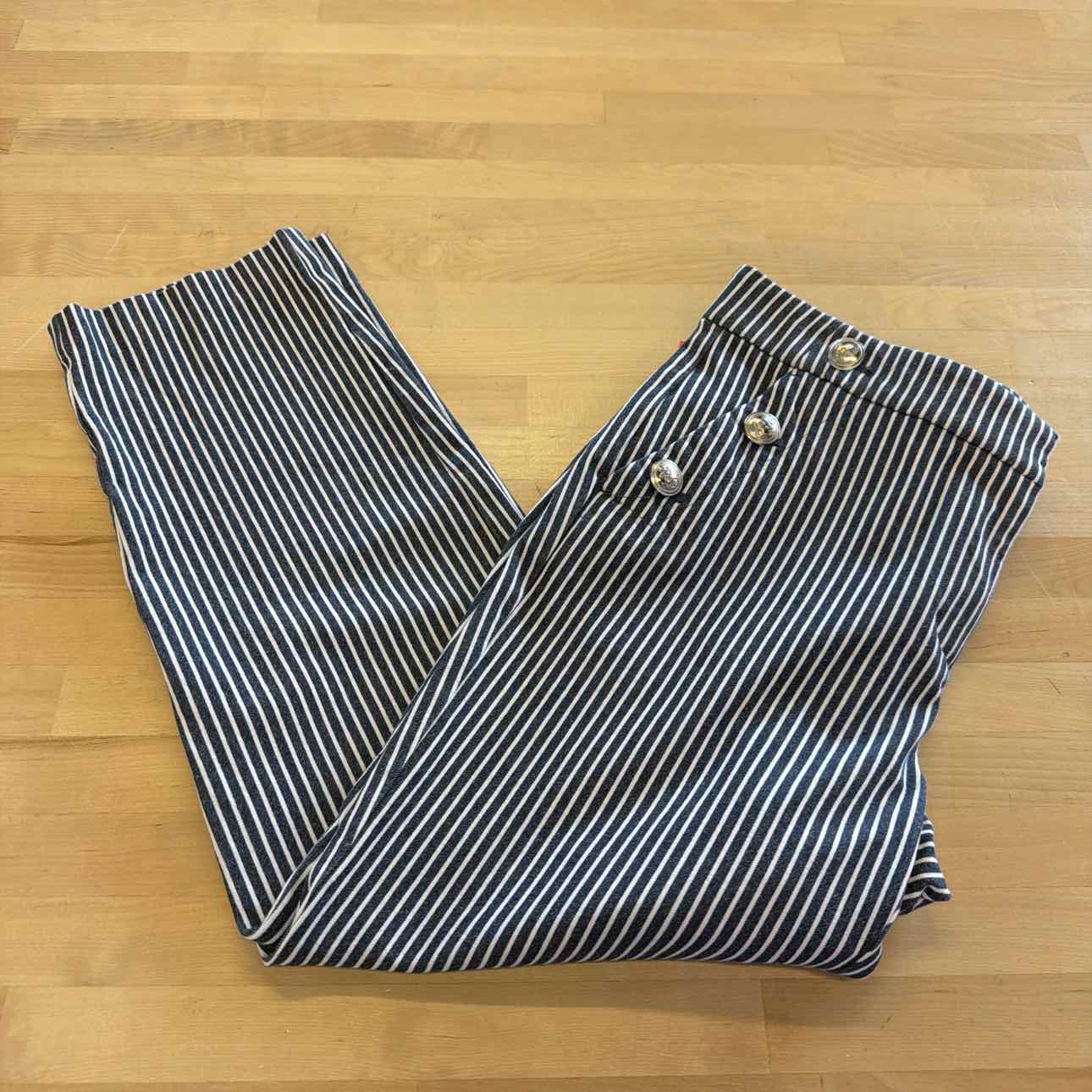 Loft Size 2 Blue/White Preloved Pants