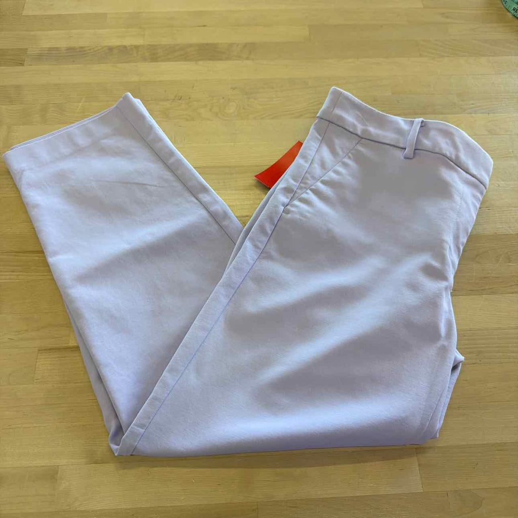 Loft Size 2 Purple Preloved Pants