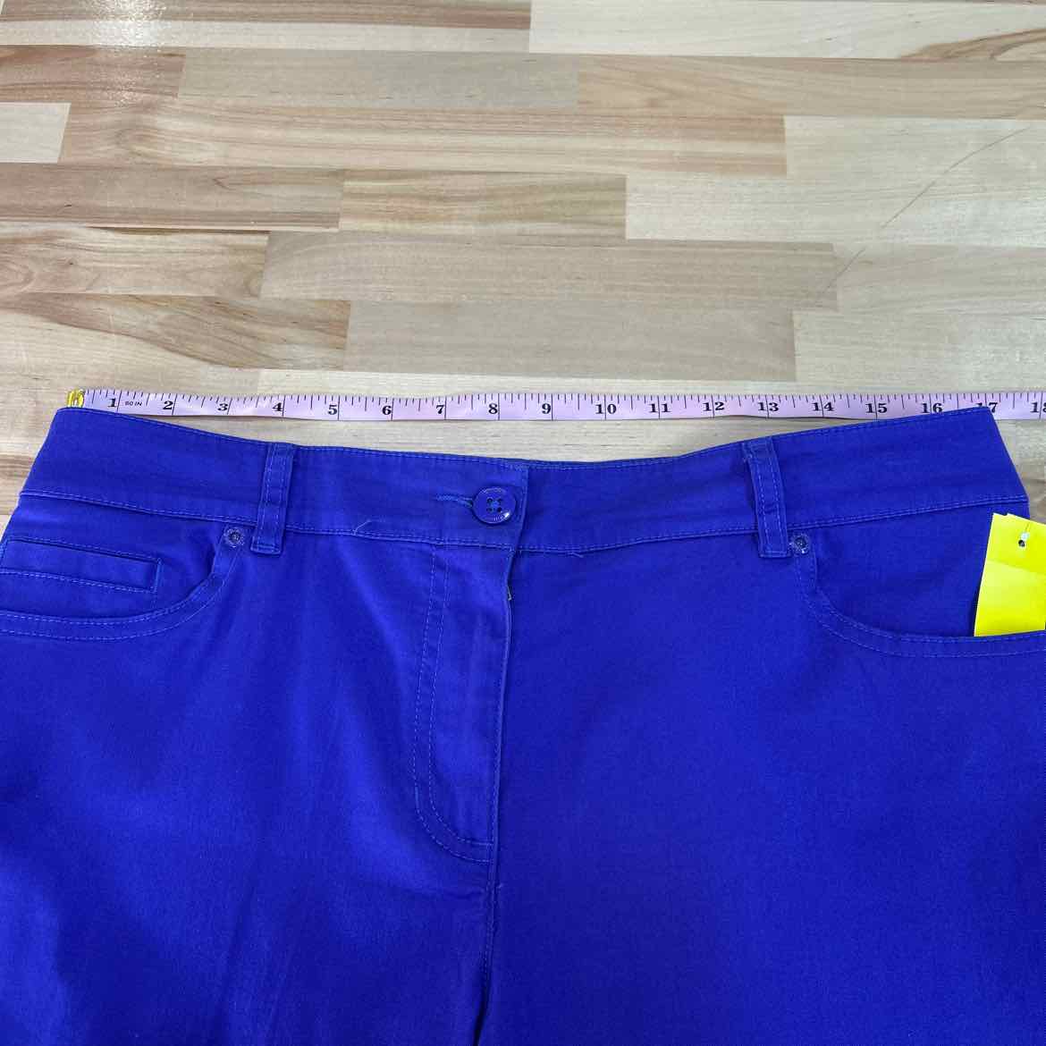 Chico's Women Size 1 Purple Preloved Shorts