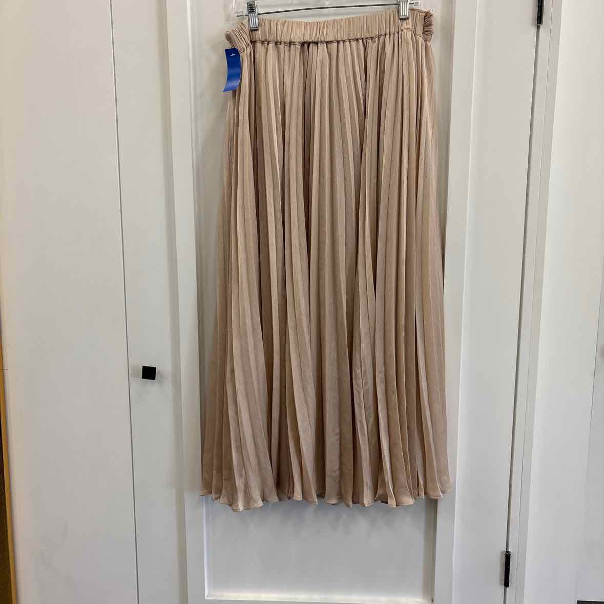 Banana Republic  Size L Champagne Maxi Length Pleated Skirt NWT