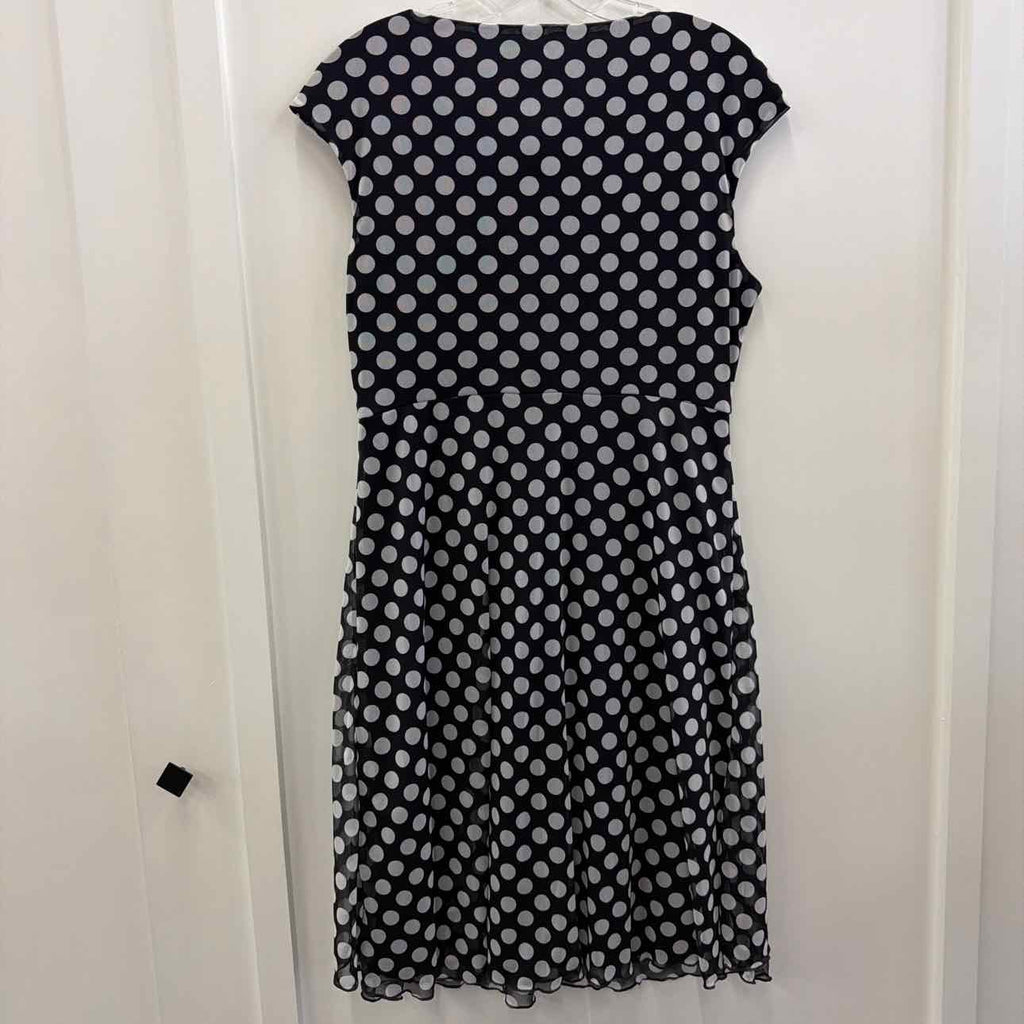 Dressbarn Size 12 Black Preloved Dress
