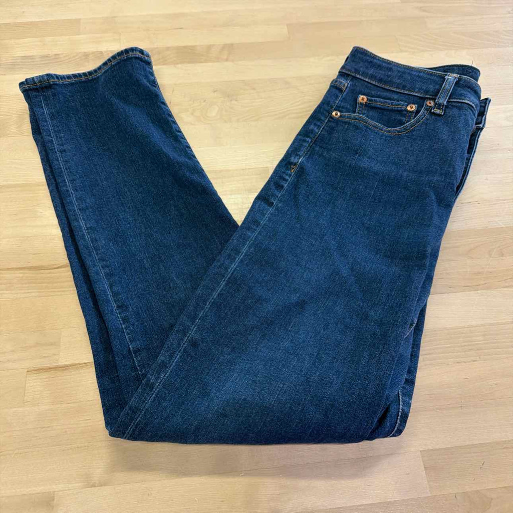 Gap Size 6 Blue Used Jeans