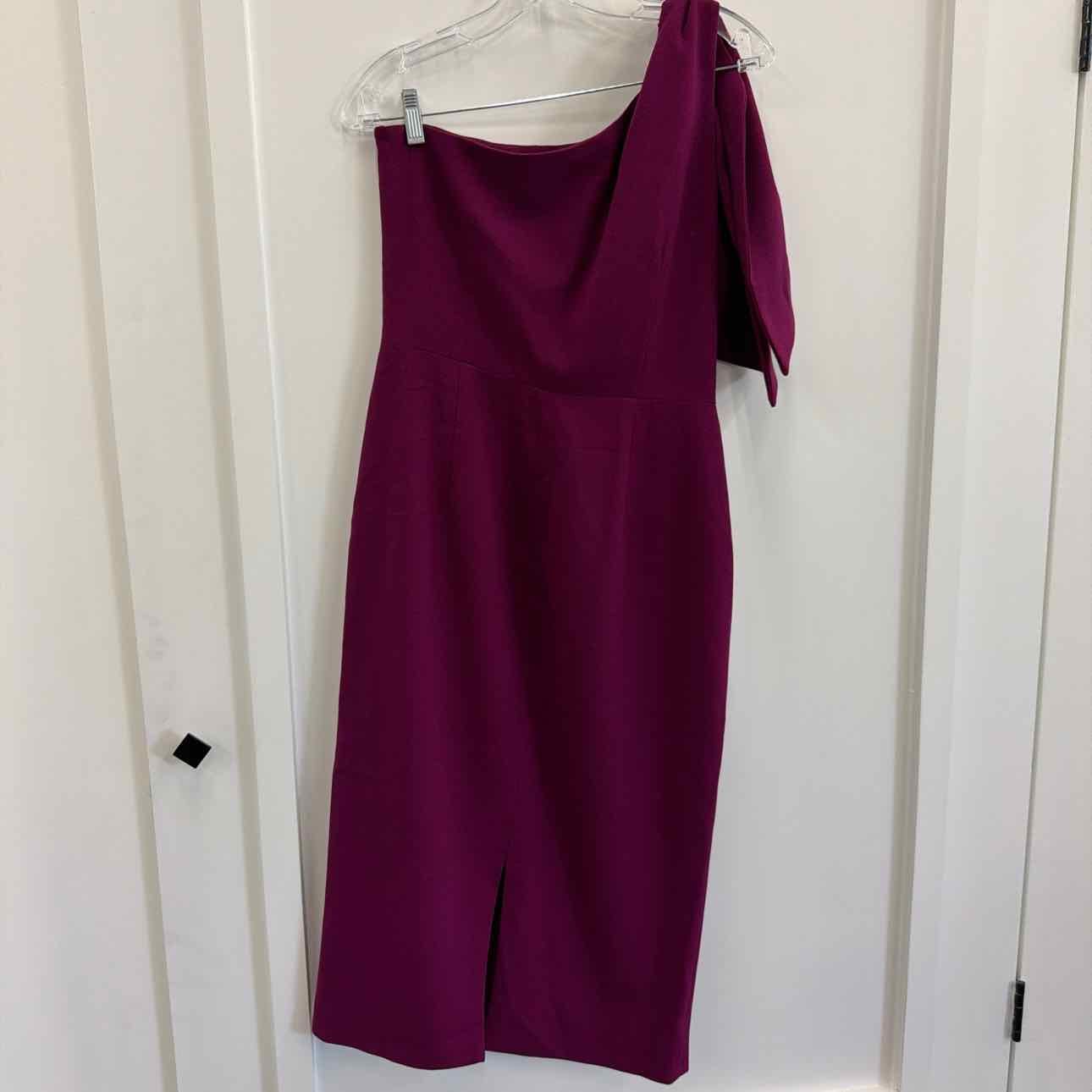 Dress The Population Size L Purple Preloved Dress