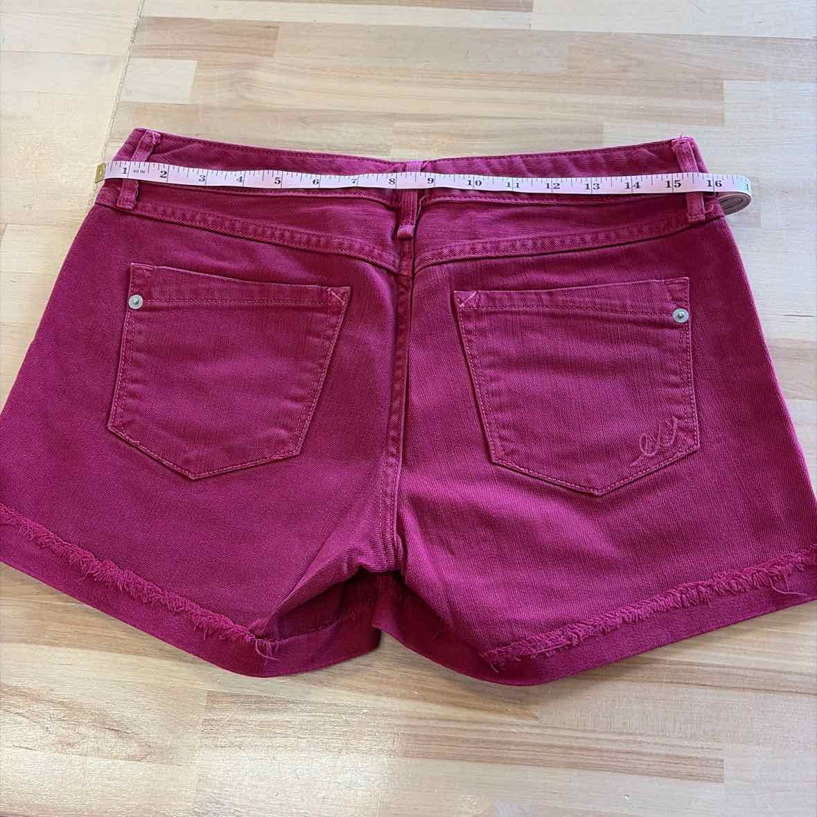 Express Women Size 4 Maroon Preloved Shorts