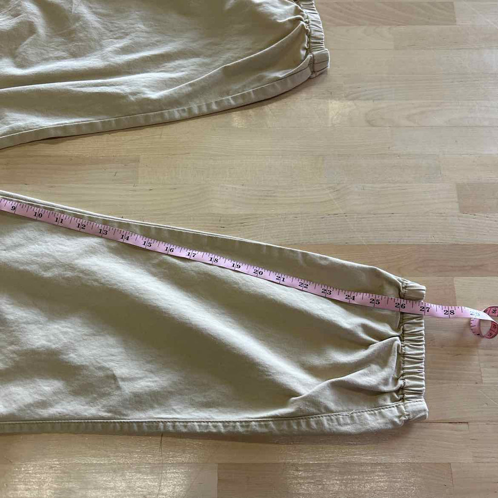 Pacsun Size L Tan MENS Pants