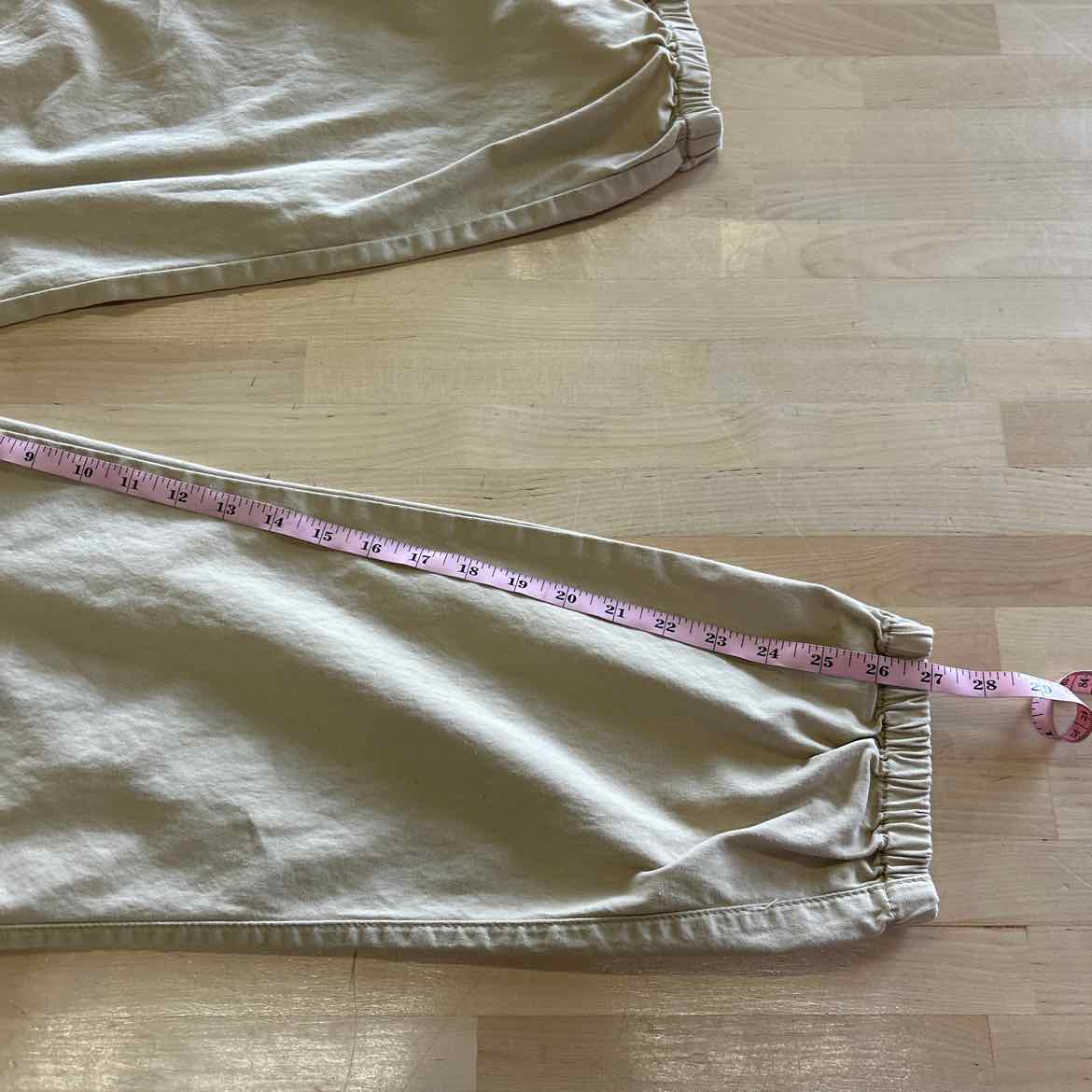 Pacsun Size L Tan MENS Pants
