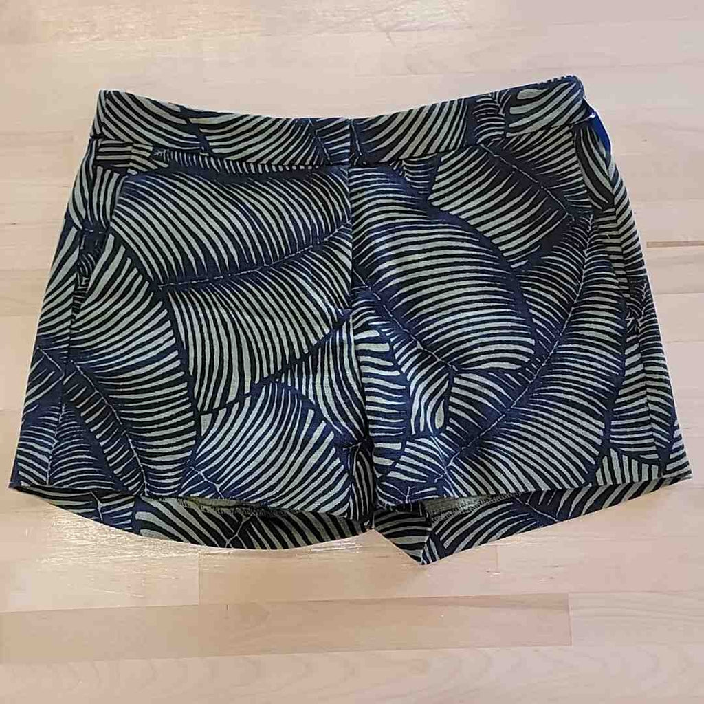 Ann Taylor Size 2 Black & Green Shorts