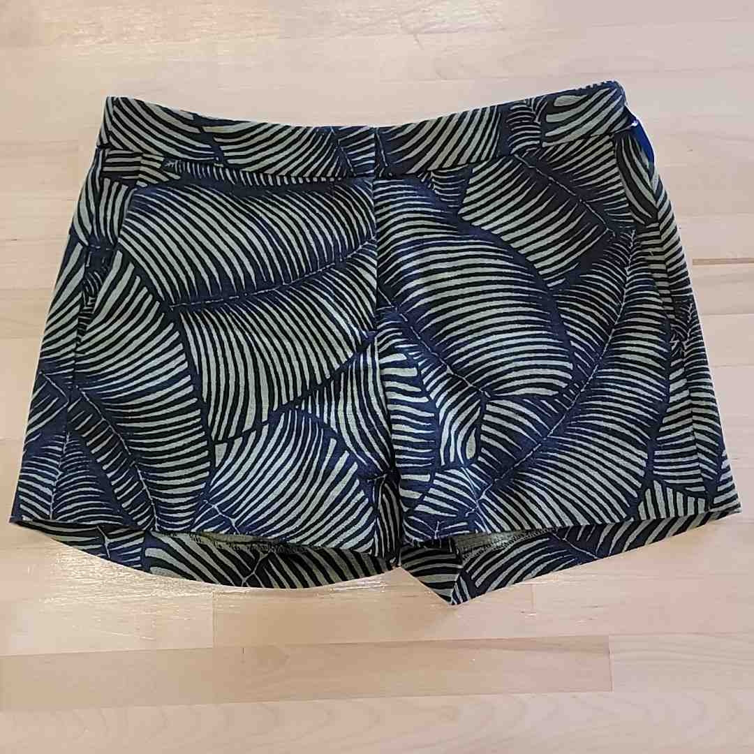 Ann Taylor Size 2 Black & Green Shorts