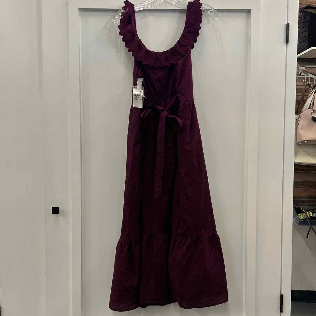 And Now This Petite Ruffled Burnout Cotton Sleeveless Maxi Dress