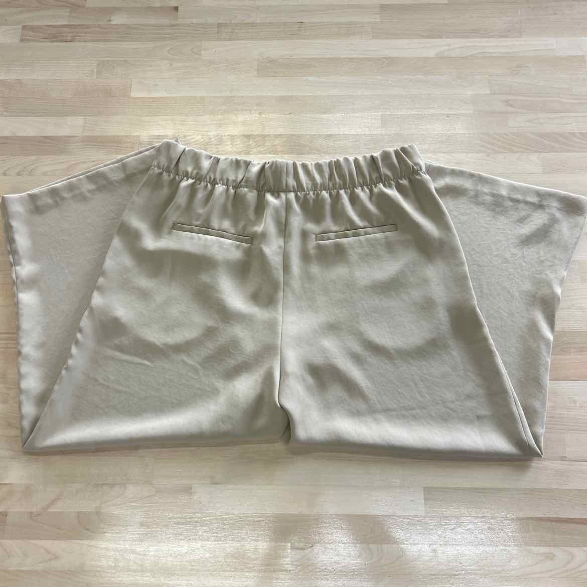 H&M Size L Tan Pants